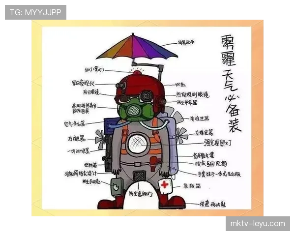 球员装备规则详解：哪些装备必须符合标准才能上场？